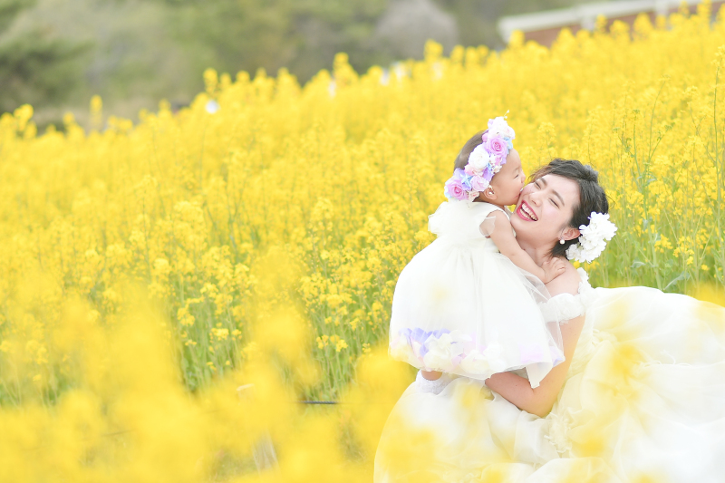 春のお写真×菜の花