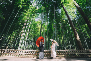 緑が美しい竹林で撮影