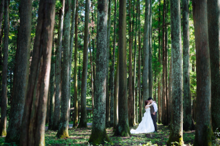 新緑&times;ロケーション撮影