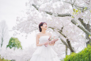 桜ロケーション