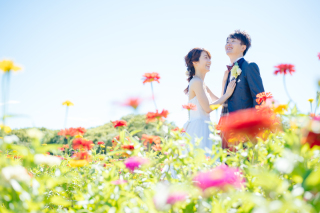 ◈彩り豊かな花畑ロケ◈青空とジニアに包まれて自然体な笑顔を残す洋装フォト