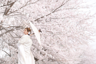 桜&times;和装ロケーション