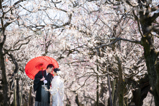 偕楽園&times;梅ロケーション