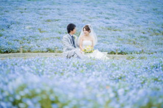 ネモフィラ＆チューリップ♡