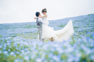 ネモフィラ撮影行ってきました！