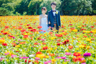 夏に撮りたい!!