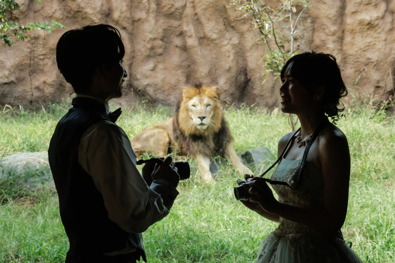 【ロケレポ】主役はライオンとお二人！動物園で叶えるウェディングフォト♪ 