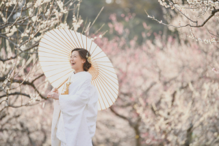 偕楽園の梅まつりがもうすぐ！和装で彩る春のロケーションフォト