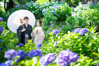 紫陽花&times;ロケーション撮影