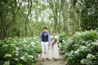 紫陽花&times;ロケーション