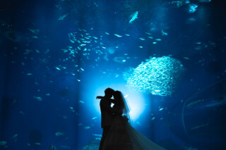 水族館×フォトウェディング