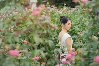 フラワーパークロケーション