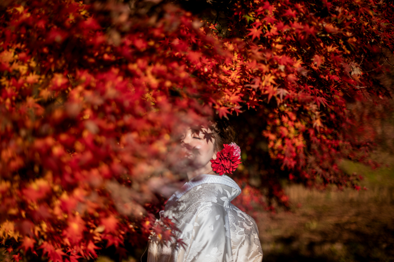 偕楽園の紅葉に包まれて、秋色フォトウェディング