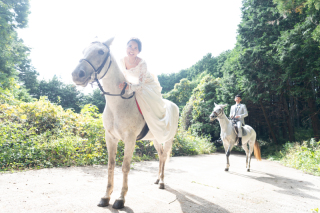 馬に乗って写真に残しましょう!