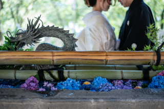 紫陽花×フォトウェディング