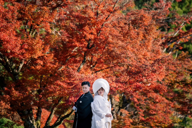 偕楽園の紅葉に包まれて、秋色フォトウェディング