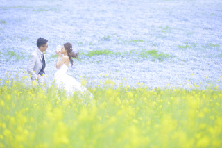 ネモフィラと菜の花