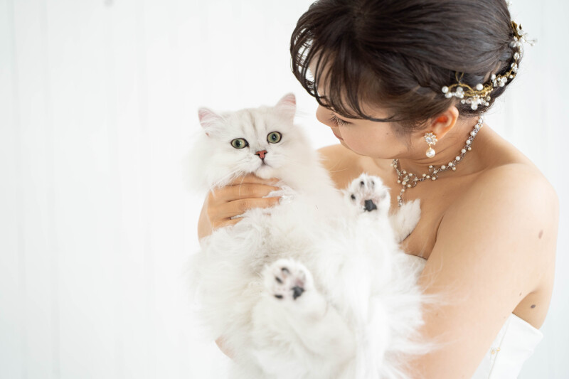 猫さんと紡ぐ、あたたかなフォトウェディング