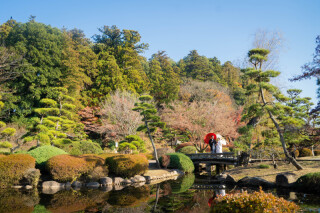緑豊かな自然を背景に・・・