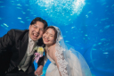 水族館×ウエディングフォト