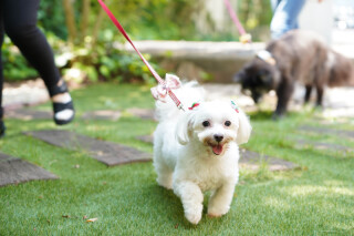 ガーデンでのびのび