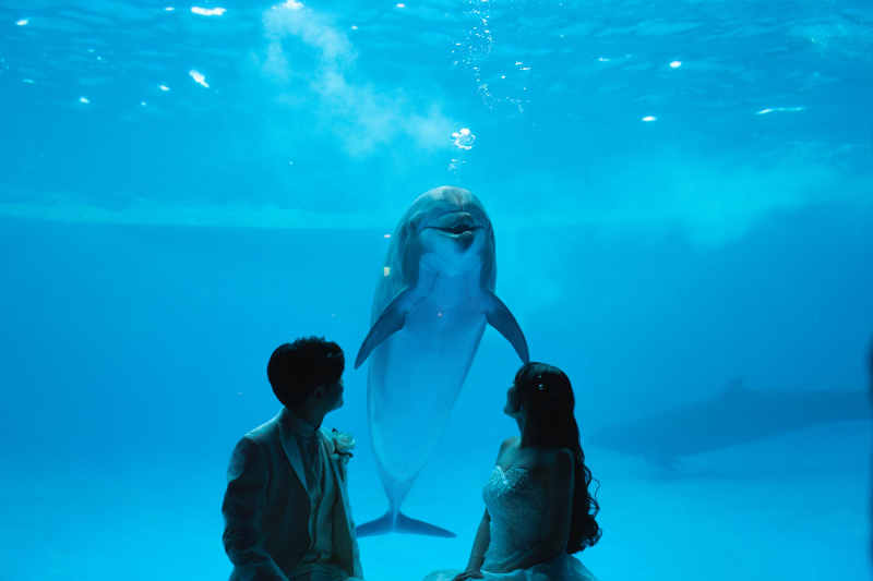 海に祝福されるフォトウェディング