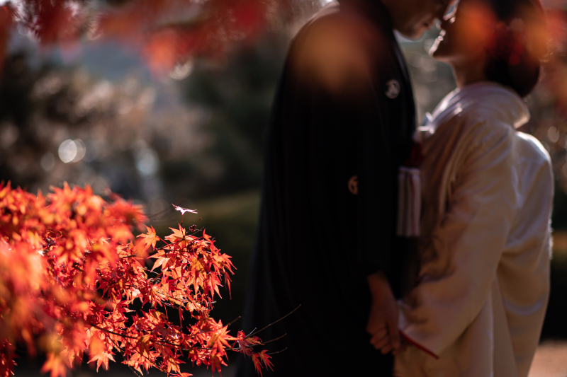 秋色に包まれて*紅葉フォト