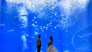 幻想的な空間で