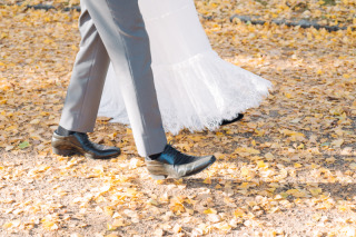 歴史観×アンシャンテナチュレ