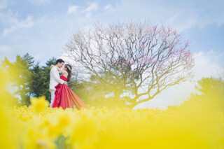 3月のひたち海浜公園