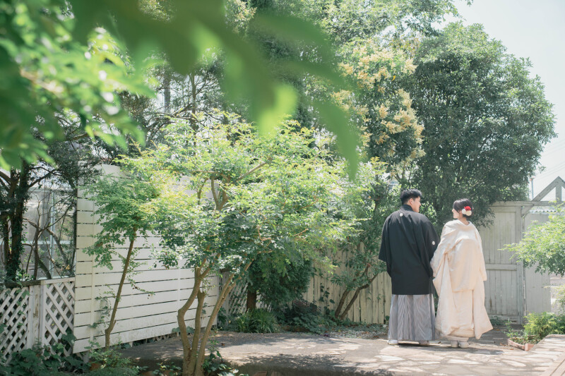 和装姿に猫さんが彩りを添えて