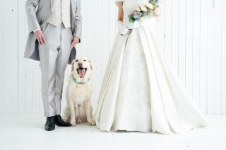 ワンちゃんと一緒にフォトウェディング