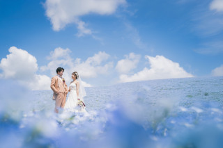 2024年ネモフィラロケーション集②