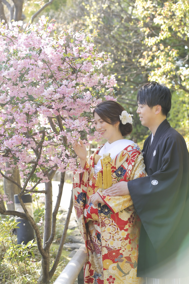 桜撮影のご紹介!