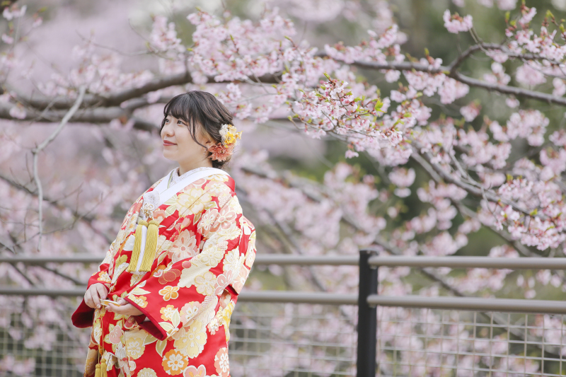 スタジオアクア新宿店です。 昭和記念公園の桜の開花状況です3