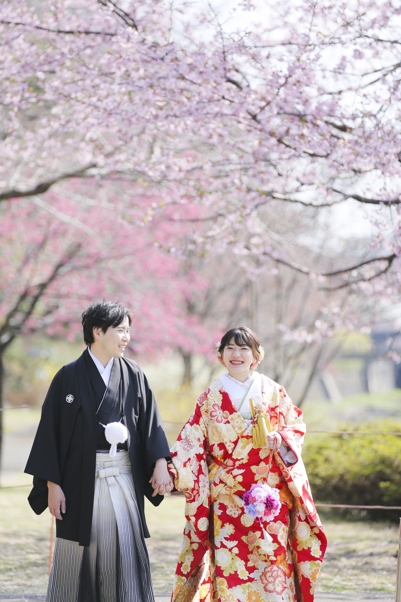 スタジオアクア新宿店です。 昭和記念公園の桜の開花状況です2