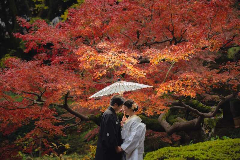 《11月12月紅葉撮影》 甘泉園公園ロケーション空き状況