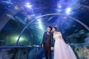 水族館でウェディングフォト