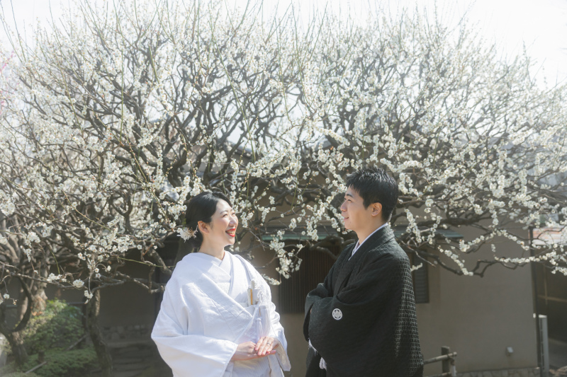 お茶室とお庭でも。梅の季節の【目白庭園】