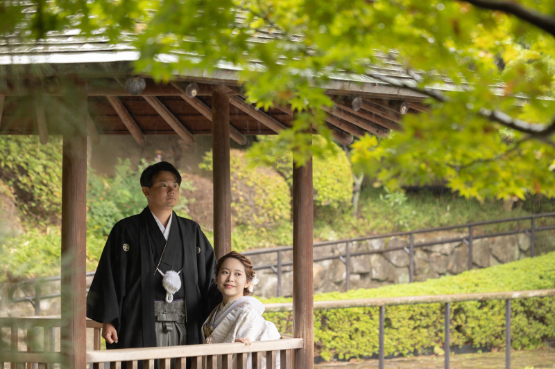 【新緑】緑あふれる雨の目白庭園