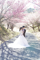 河津桜と笑顔が彩るウェディングフォト