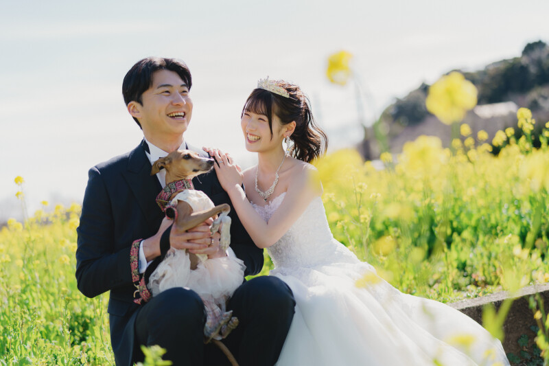 【菜の花に囲まれて】河津ロケーション