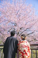 スタジオアクア新宿店です。 昭和記念公園の桜の開花状況です4