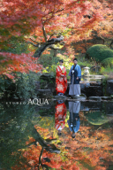 紅葉ロケーション撮影