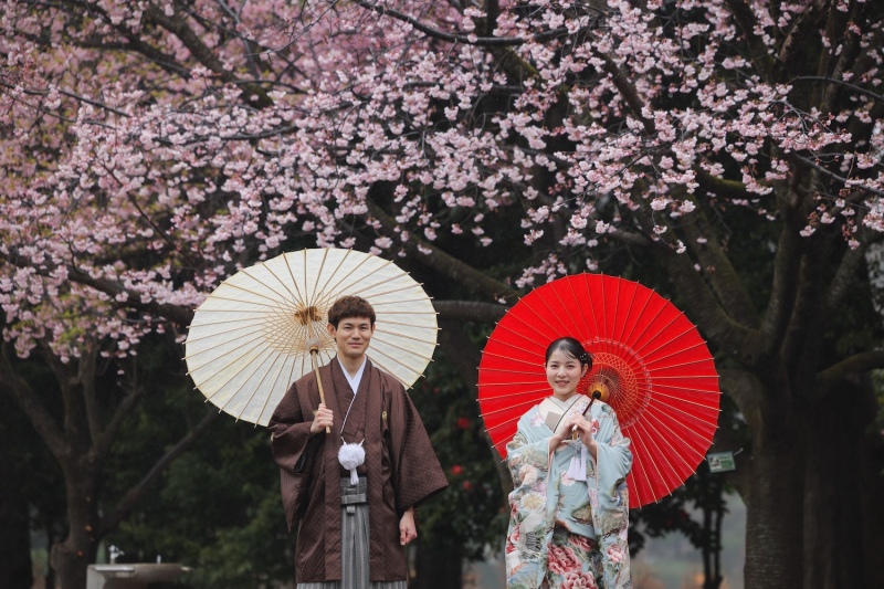 桜ロケーション