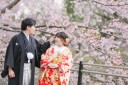 スタジオアクア新宿店です。 昭和記念公園の桜の開花状況です6