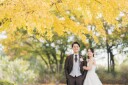 紅葉のロケーションが始まります♪