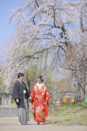 スタジオアクア新宿店です。 昭和記念公園の寒桜が見頃です11