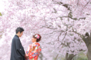 桜シーズン撮影 ご予約受付中！