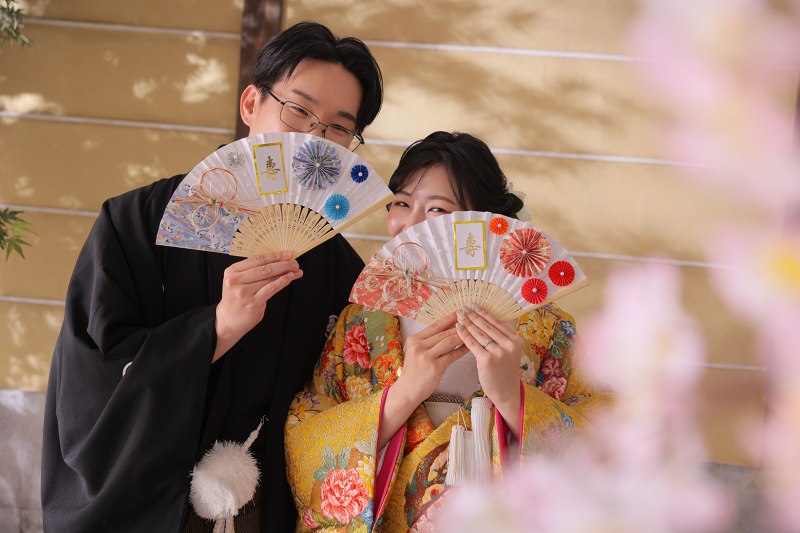 和装スタジオで桜と